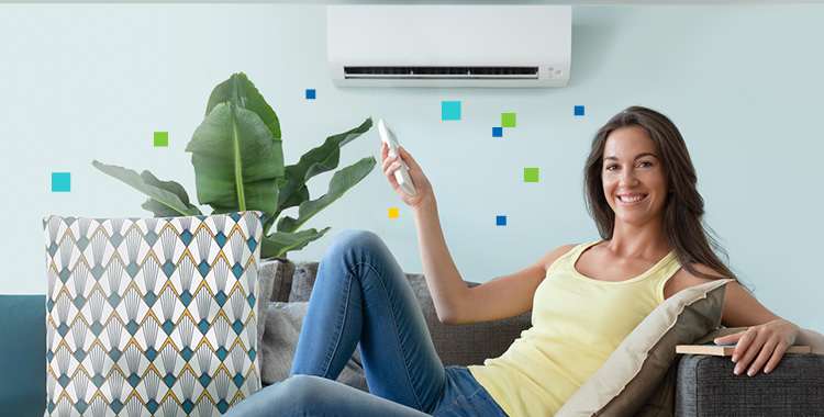 immagine CLIMATIZZATORE ALTA EFFICIENZA