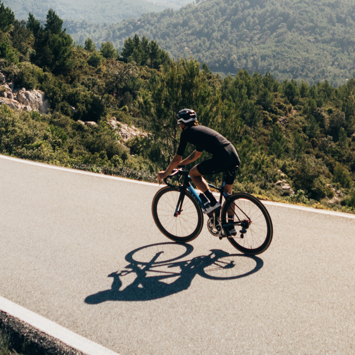 Offerta luce e gas Special Web