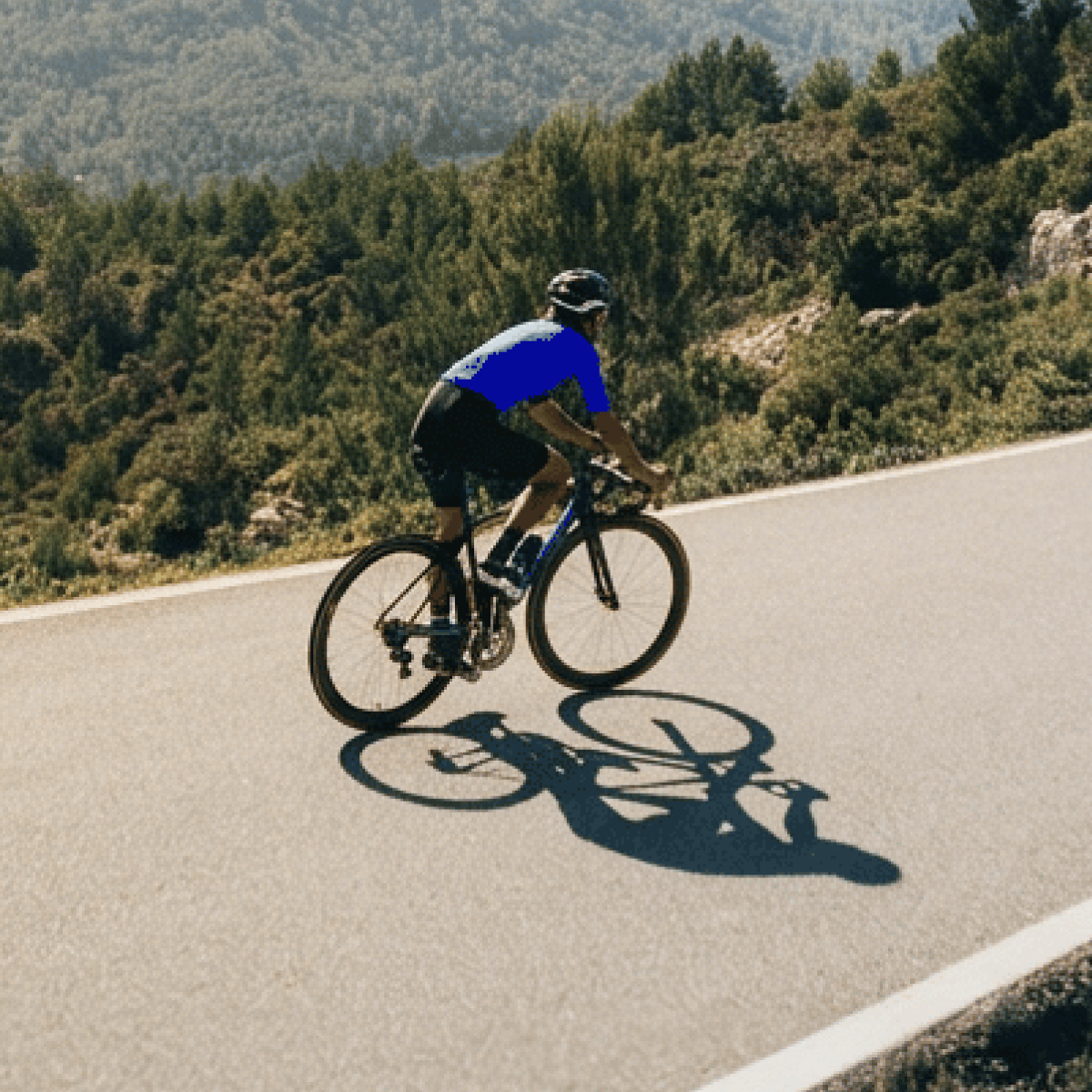 Offerta luce e gas Special Web