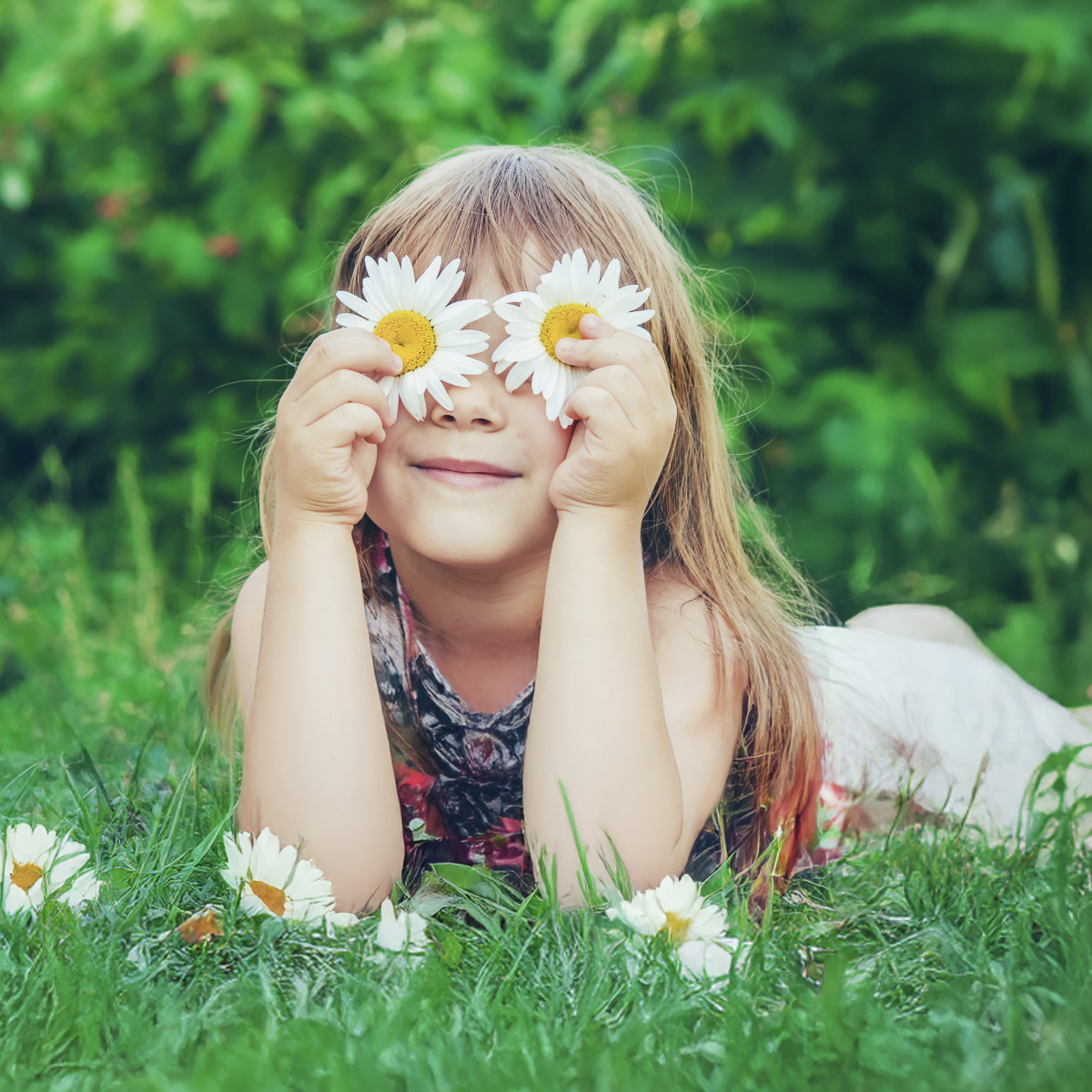 Offerta luce e gas Special Web