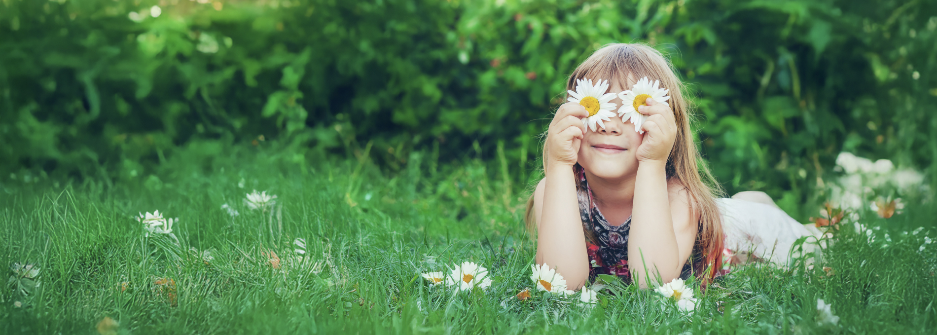 Special Web - L'offerta a prezzo fisso