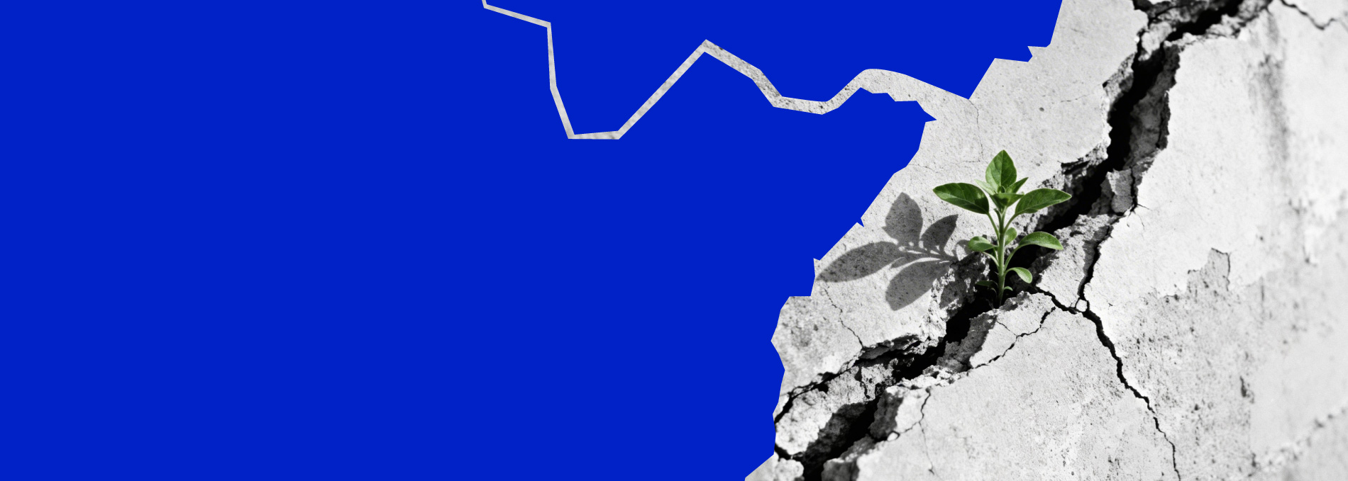 Storie di ricostruzione